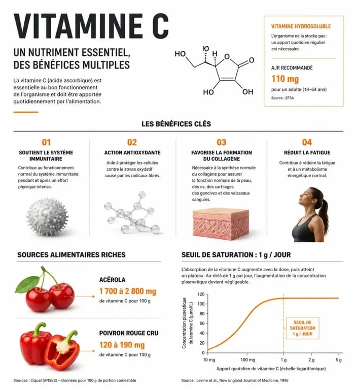 Infographie sur les bienfaits et le dosage de 1g de vitamine C par jour pour la santé