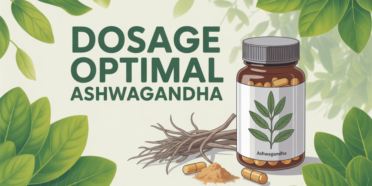 ashwagandha dosage par jour illustration flacon gelules poudre